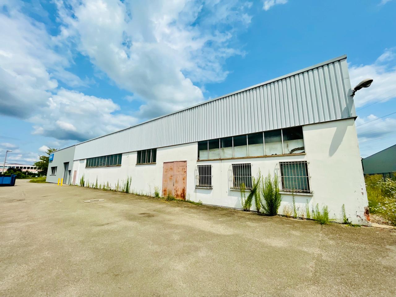 Local d'activité Geispolsheim 3550m² Location local d'activité Geispolsheim Bas-Rhin OLACT2313695 0